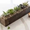 Giselle Succulent Trough -Gift Shop 1043 Giselle Succulent Trough 2021 P