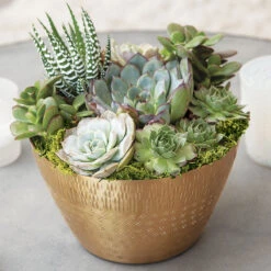 Patterned Gilt Succulent