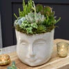 Pondering Succulent Planter