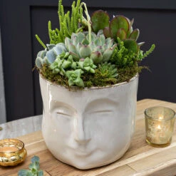 Pondering Succulent Planter