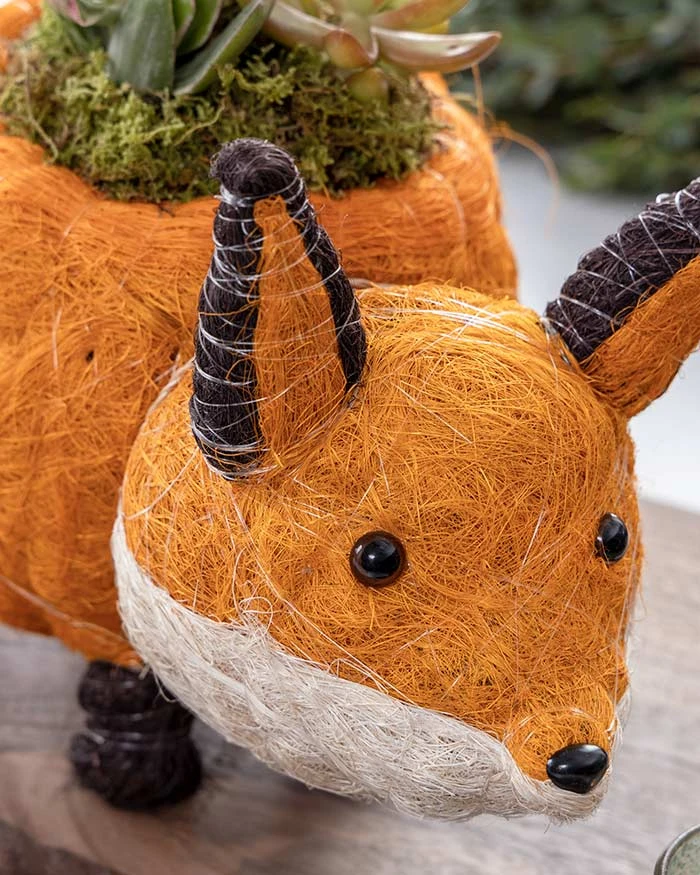 Fox Succulent Planter 4 Fox Succulent Planter - Image 2