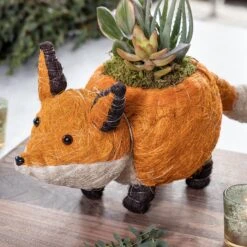 Fox Succulent Planter 8 Fox Succulent Planter -Gift Shop 26851 Fox Succulent Planter ALT 02 P