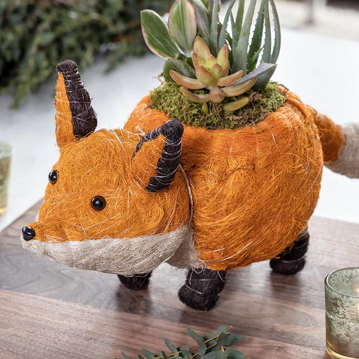 Fox Succulent Planter 5 Fox Succulent Planter - Image 3