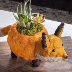 Fox Succulent Planter 9 Fox Succulent Planter -Gift Shop 26851 Fox Succulent Planter ALT 03 P