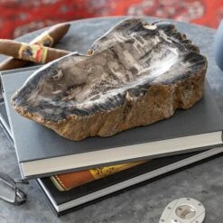 Petrified Wood Catch-all -Gift Shop 27186 Petrified Wood Catch all ALT 02 P