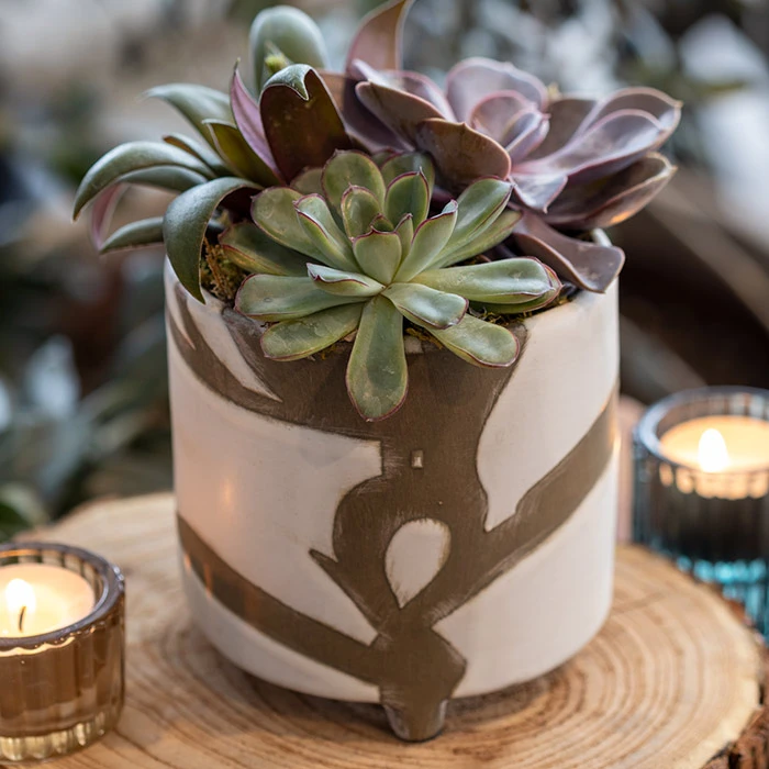 Abstract Ceramic Succulent 4 Abstract Ceramic Succulent - Image 2