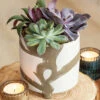 Abstract Ceramic Succulent 1 Abstract Ceramic Succulent -Gift Shop 28408 Abstract Ceramic Succulent P