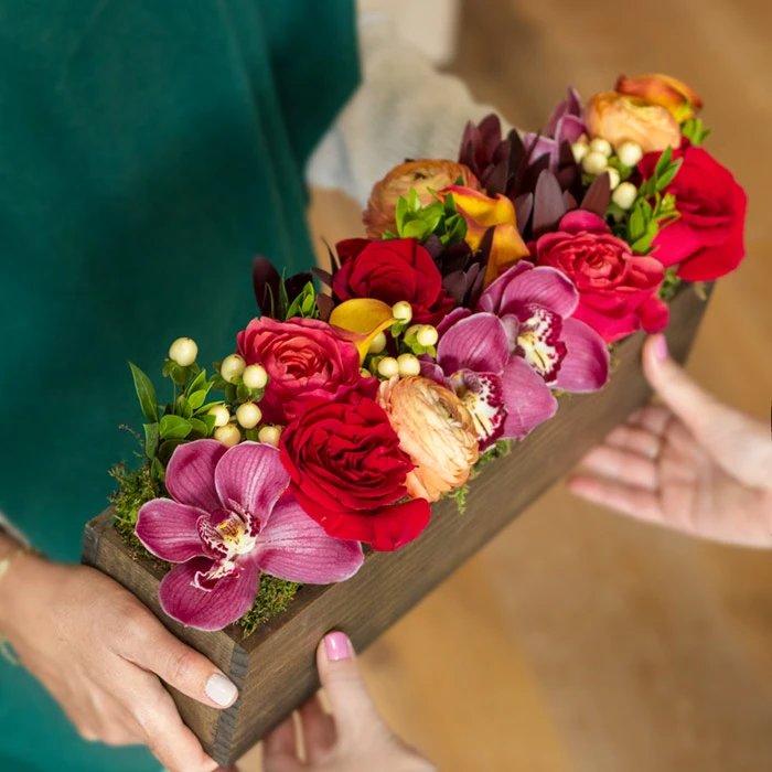 Everly Rose 4 Everly Rose - Image 2