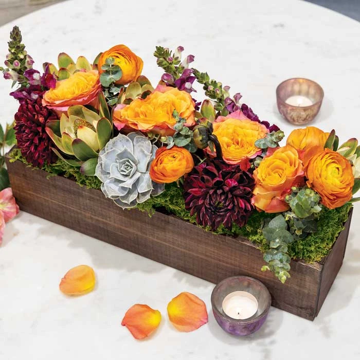 Angelina Fleur 3 Angelina Fleur