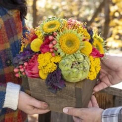 Sienna Marie -Gift Shop 29073 Sienna Marie ALT 03 P