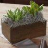 Duet Succulent Trough -Gift Shop 3580 Duet Succulent Trough graymoss updated P