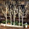 Snowdrift Lit Trees -Gift Shop 8059 Snowdrift Lit Trees P
